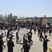تصویر گالری