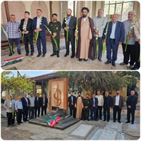 تصویر گالری